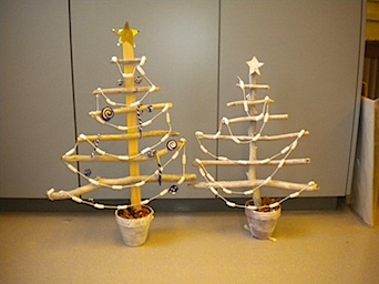 sapin3