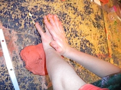 DSCN0602