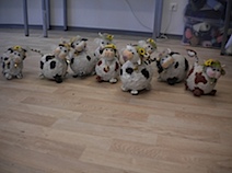 DSCN0638