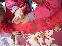 DSCN1157