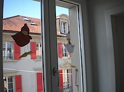 DSCN1259