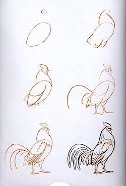 dessincoq.jpg