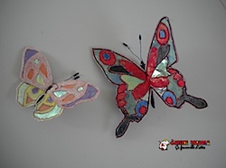 papillon1.jpg