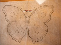 papillon4.jpg