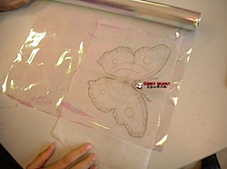 papillon5.jpg