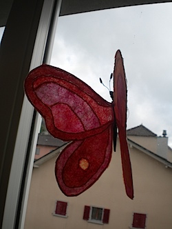 DSCN2539