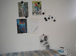 DSCN3185