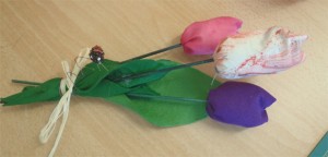 tulipe1