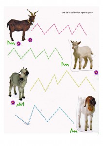 fichechevreys