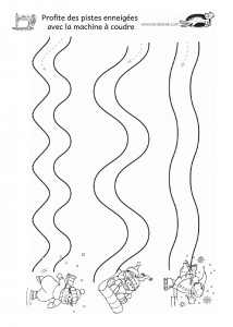 ficheneige