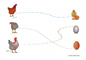 fichepoule