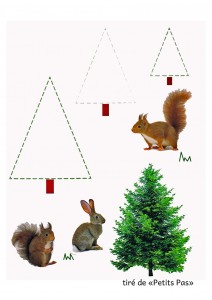 fichesapin