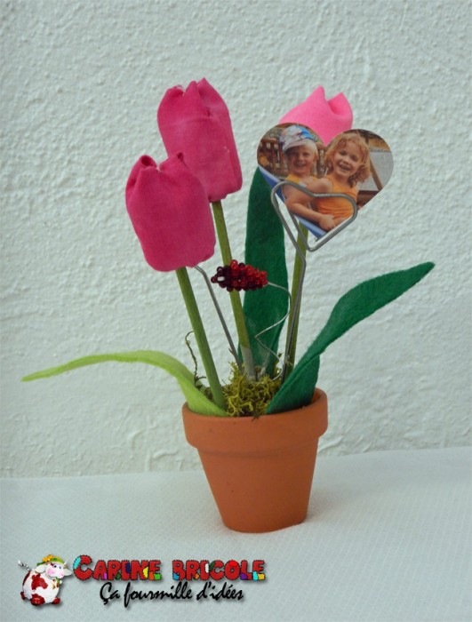 vasephoto