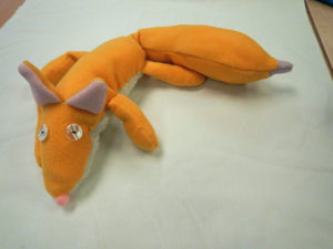 renard3